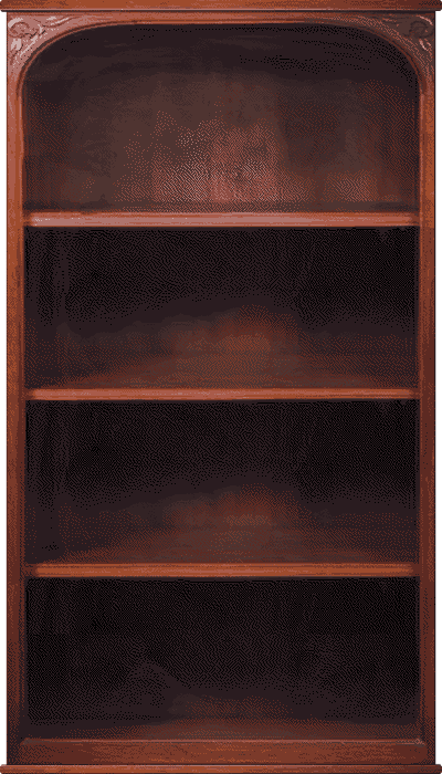 An empty bookcase.